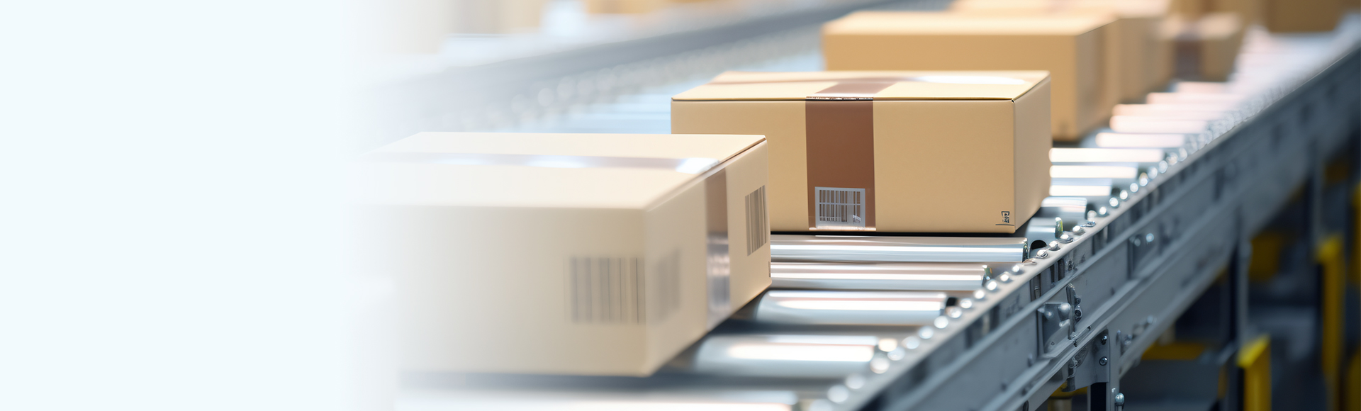 Biens de consommation